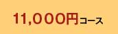 11,000~R[X