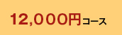12,000�~�R�[�X