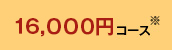 16,000~R[X